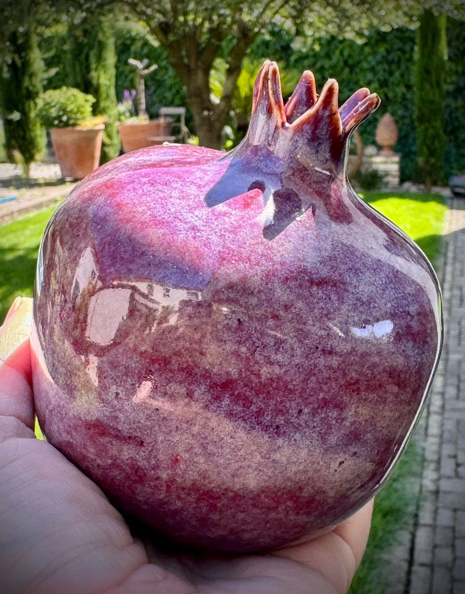 Pomegranate — plum