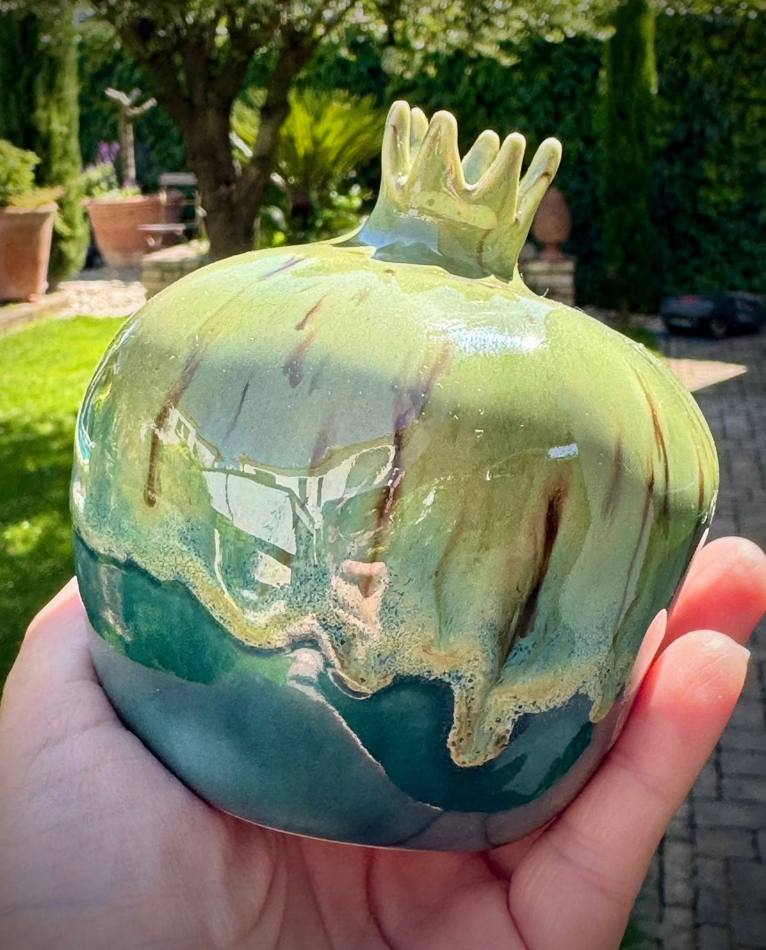 Pomegranate — moss
